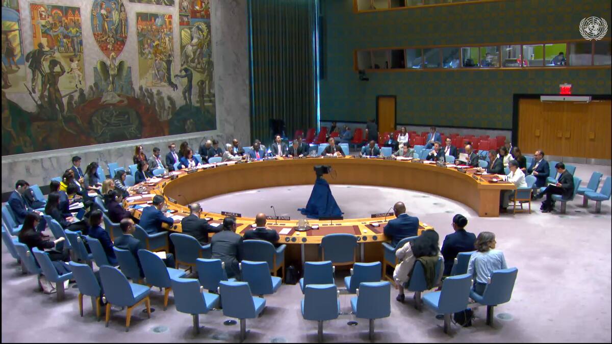 Consejo de Seguridad de la ONU pide implementación integral del Acuerdo Final de Paz