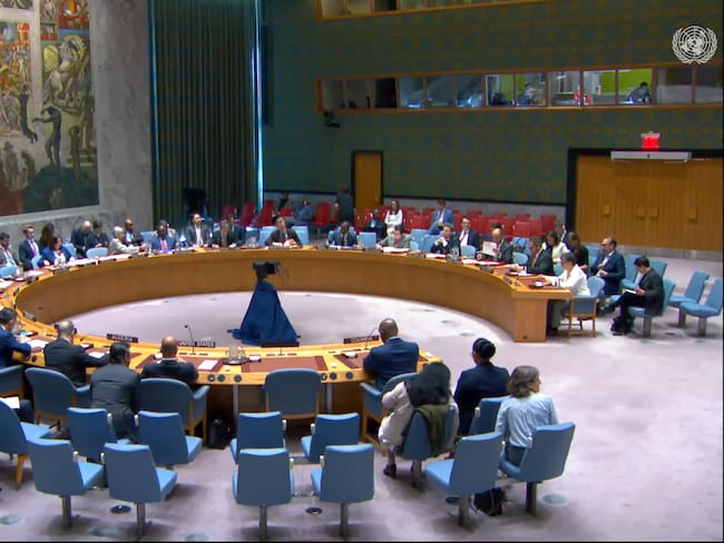 Consejo de Seguridad de Naciones Unidas.