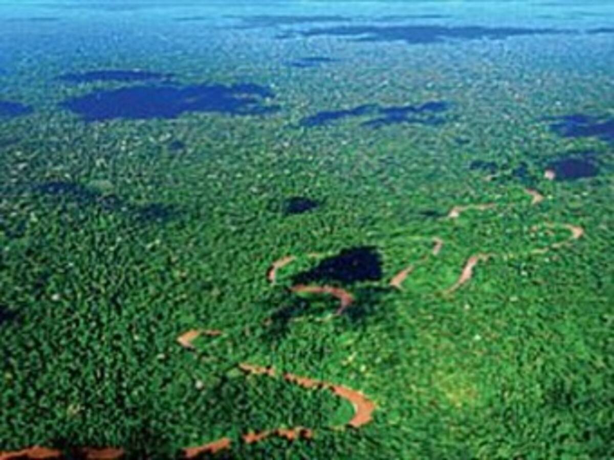 Correa insistirá ante la ONU en pedir apoyo para su proyecto ambientalista