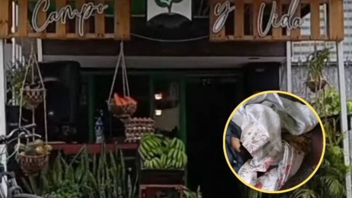 Informe sobre habitantes de calle