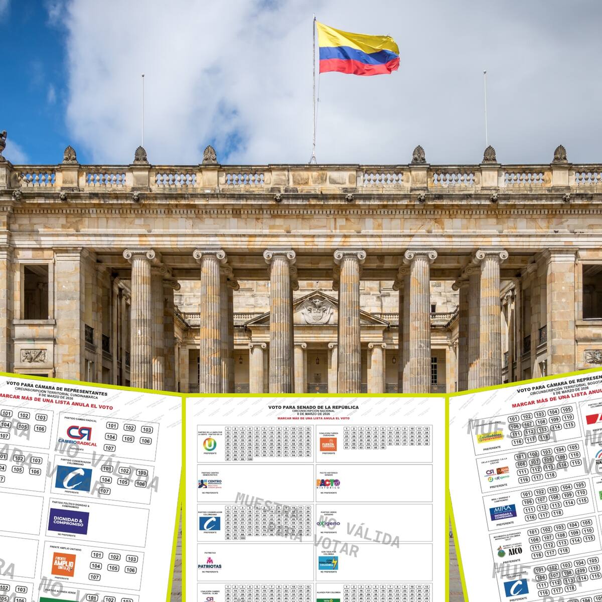TuTarjeton, la plataforma digital que enseña a marcar bien los tarjetones electorales