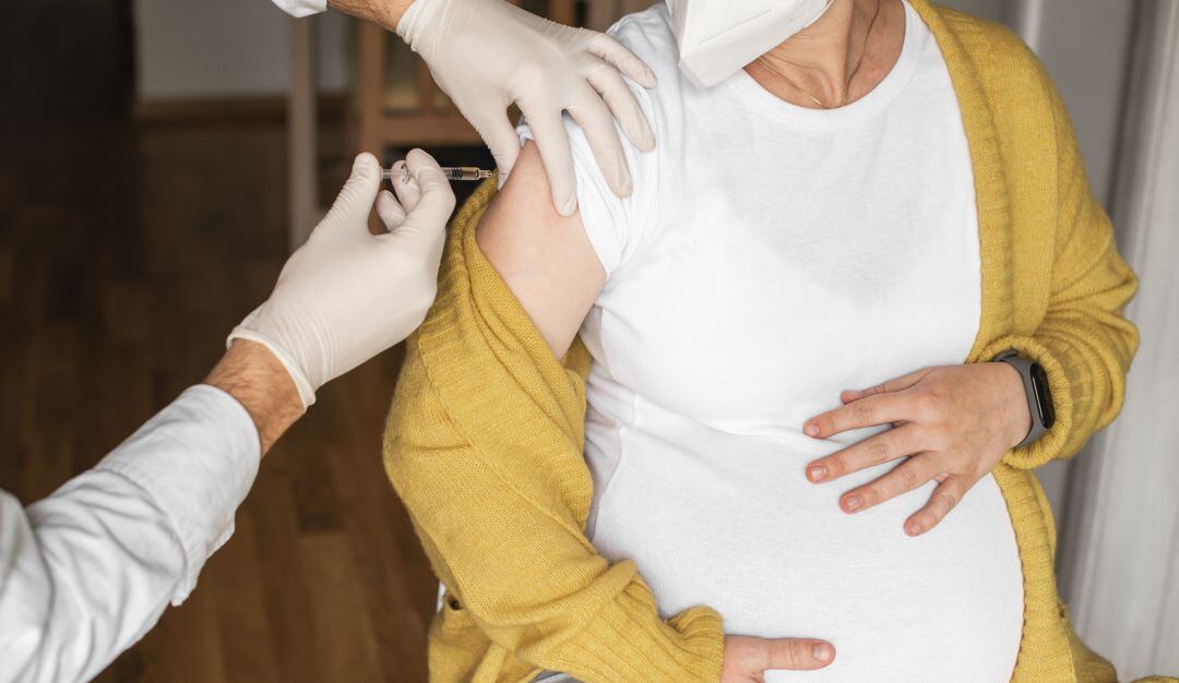 Imagen de referencia