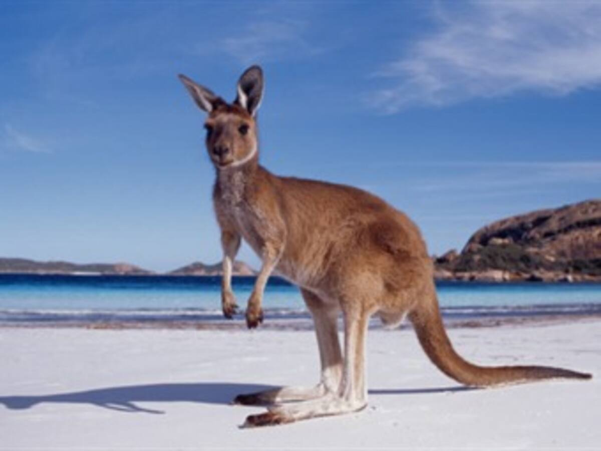 La Australia virgen, clave para combatir el cambio climático