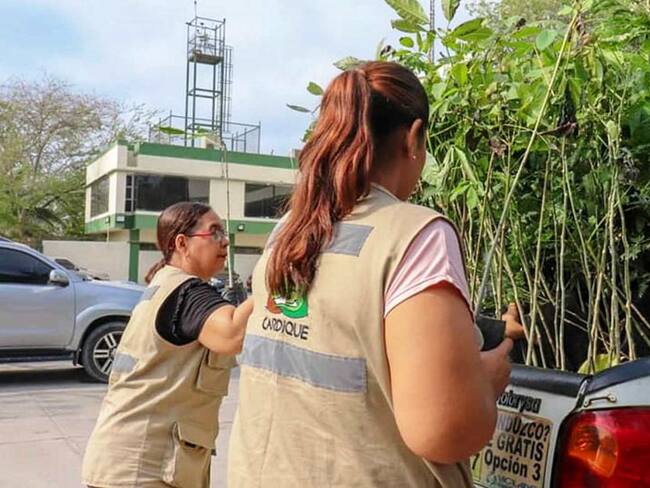 Por Covid-19 Cardique suspende términos administrativos de procesos