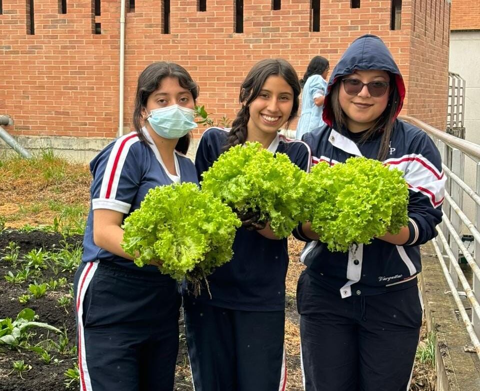 Las estudiantes ya sacaron la cosecha de lechugas. Foto | Francisco Javier Vera Manzanares