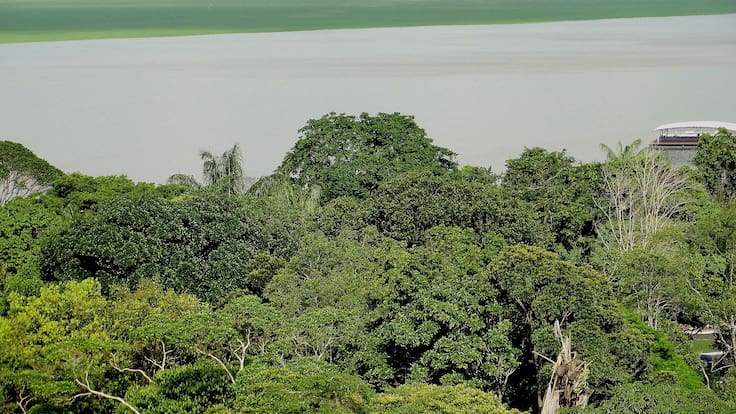 Los 75 Nuevos Líderes de Colombia: Felipe Henao y su compromiso con la Amazonía
