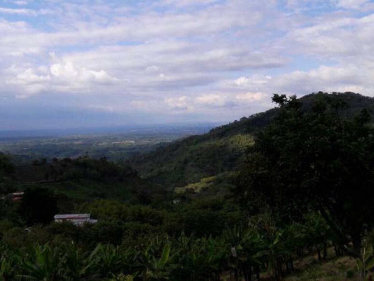 Lunes 28 de noviembre, noticias más importantes de Armenia y Quindío