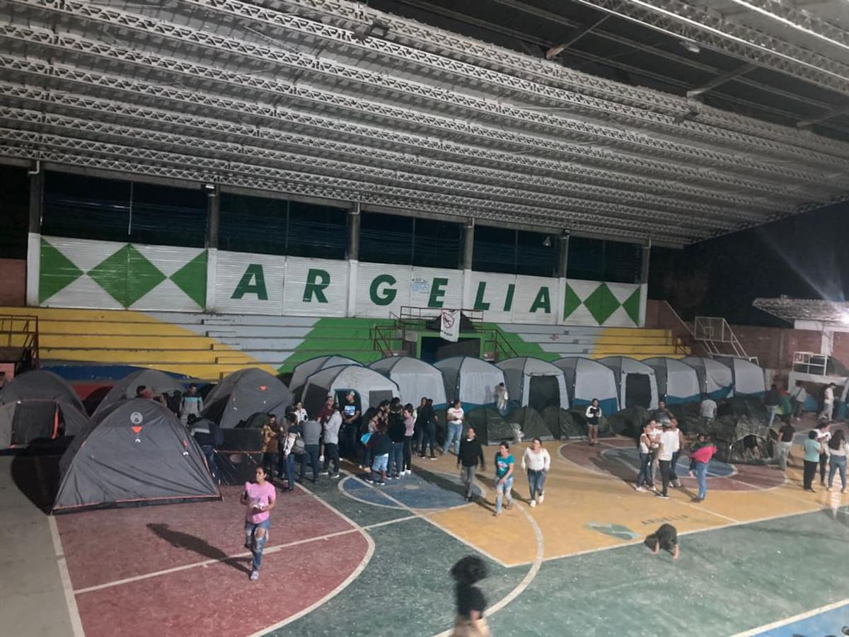 “El temor y la zozobra siguen”: defensor del Cauca tras desplazamiento en Argelia