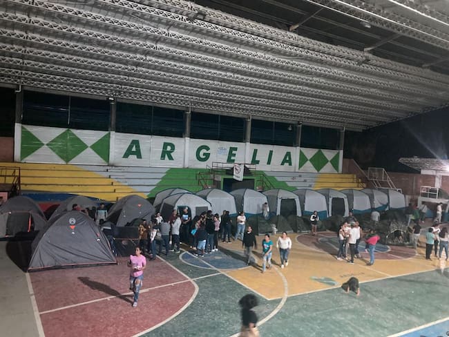 Desplazamiento masivo en Argelia, Cauca: Defensoría del Pueblo responde