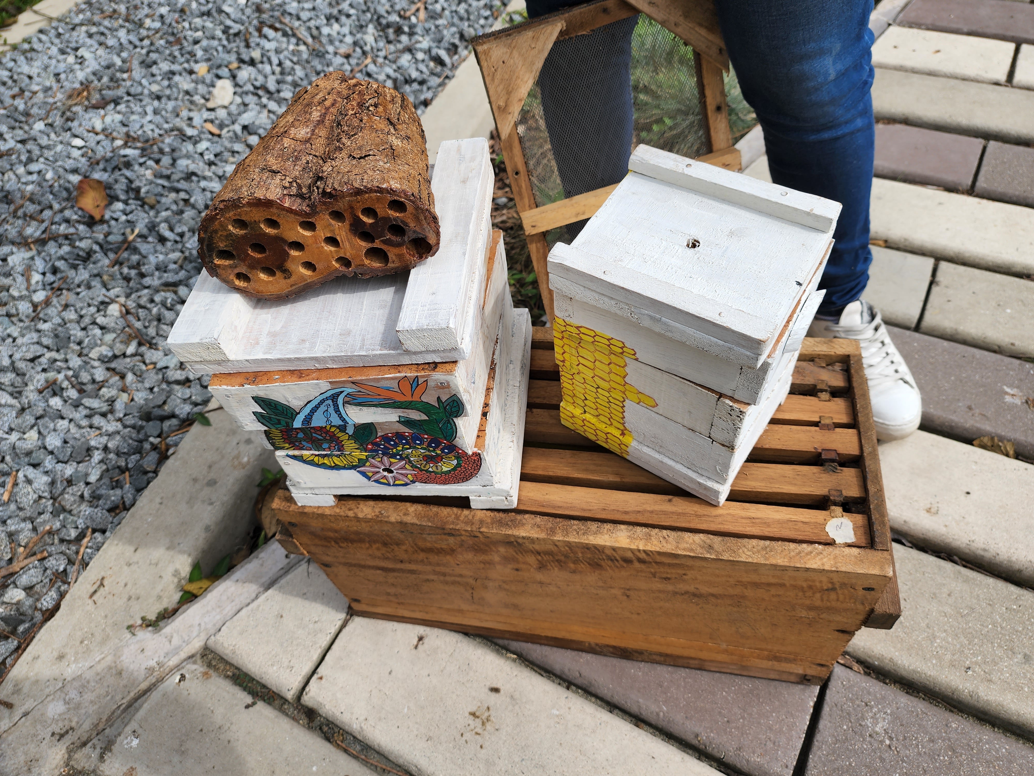Hoteles para abejas en la UdeM. Foto: cortesía.