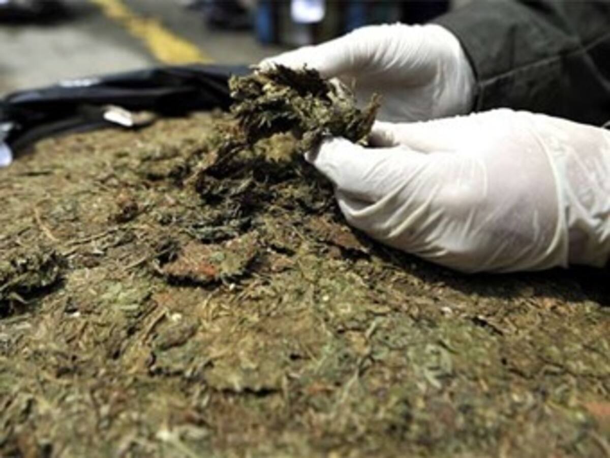 Más de tonelada y media de marihuana fue incautada por agentes del CTI en el Eje Cafetero