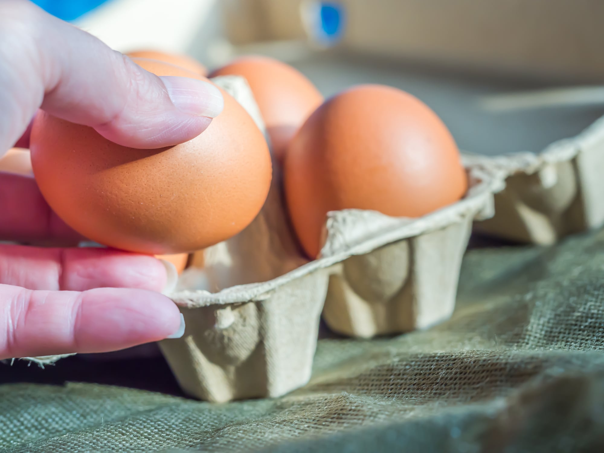 Huevos, imagen de referencia // Getty Images