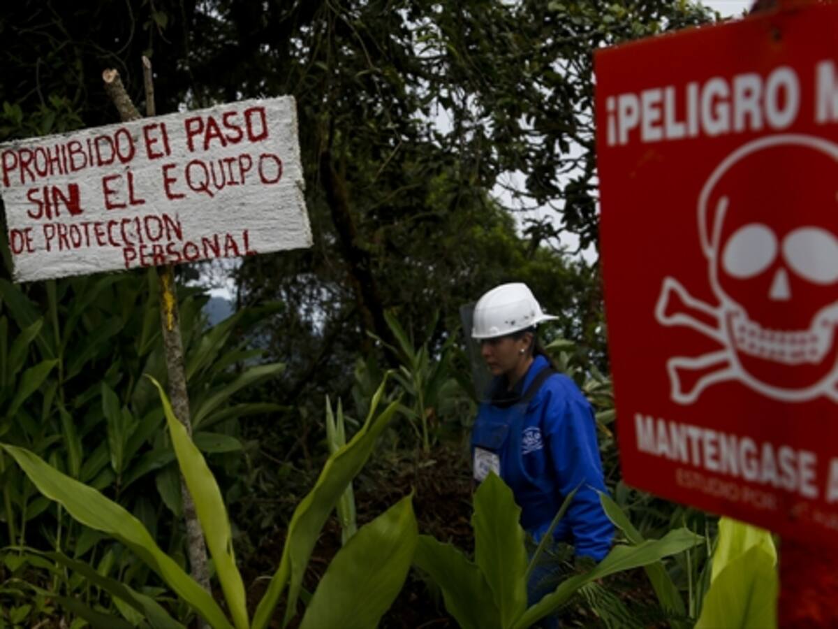 Desminado: el acuerdo de la confianza