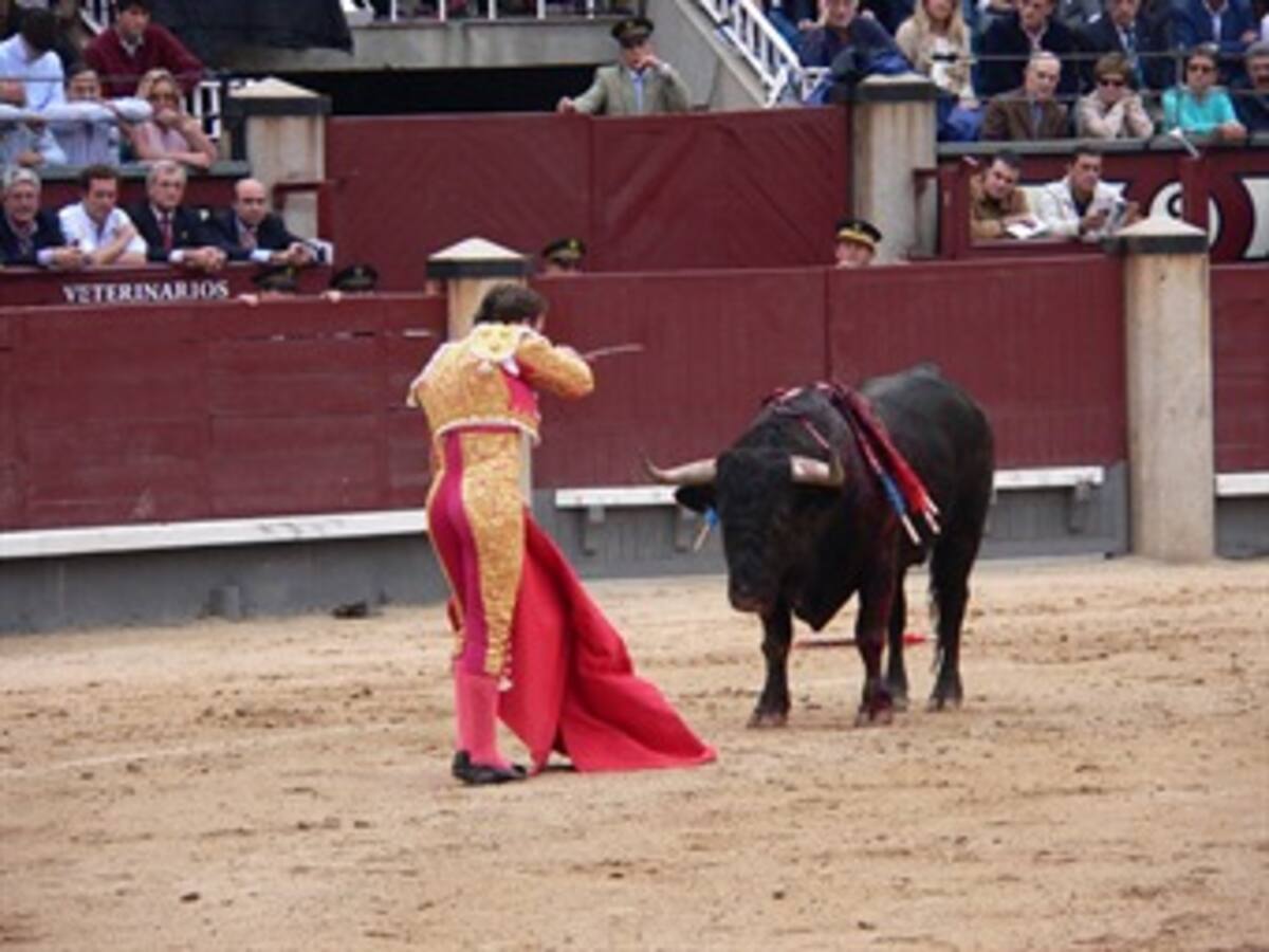 Fallo sobre corridas de toros en Bogotá se conocerá en el 2014