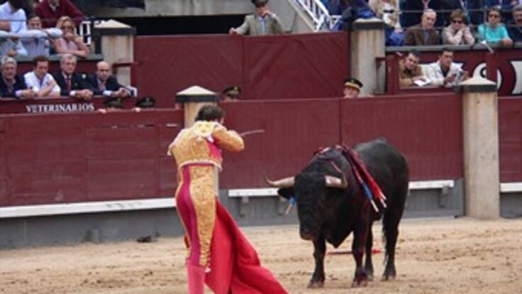 Fallo sobre corridas de toros en Bogotá se conocerá en el 2014