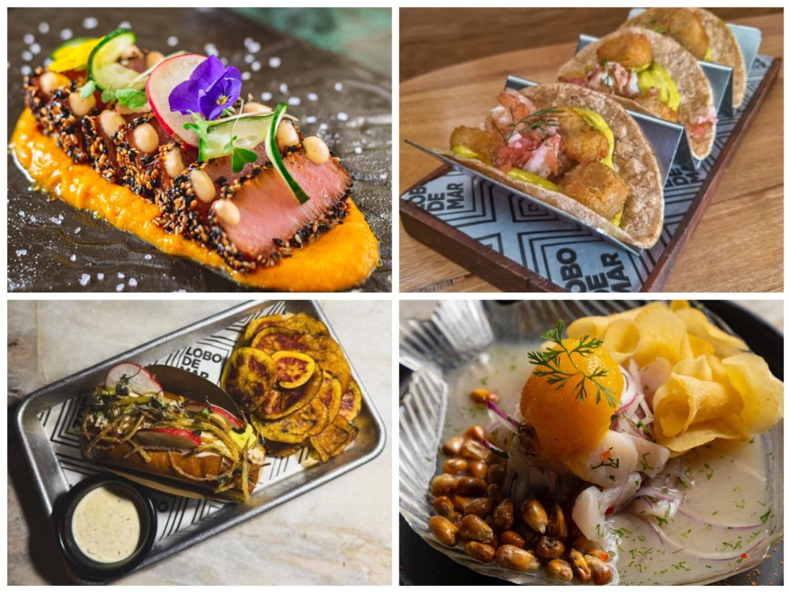 Cortesía: @lobodemarcartagena