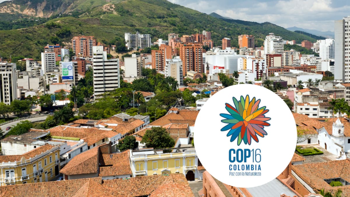 ¿Qué significa la sigla COP 16? Esta es la razón por la que se llevará a cabo en Colombia