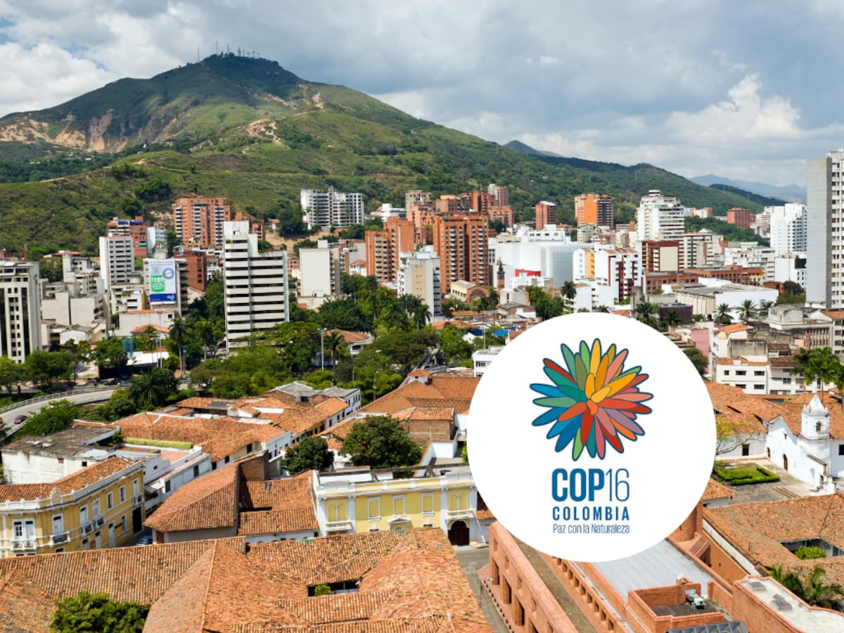 ¿Qué significa la sigla COP 16? Esta es la razón por la que se llevará a cabo en Colombia