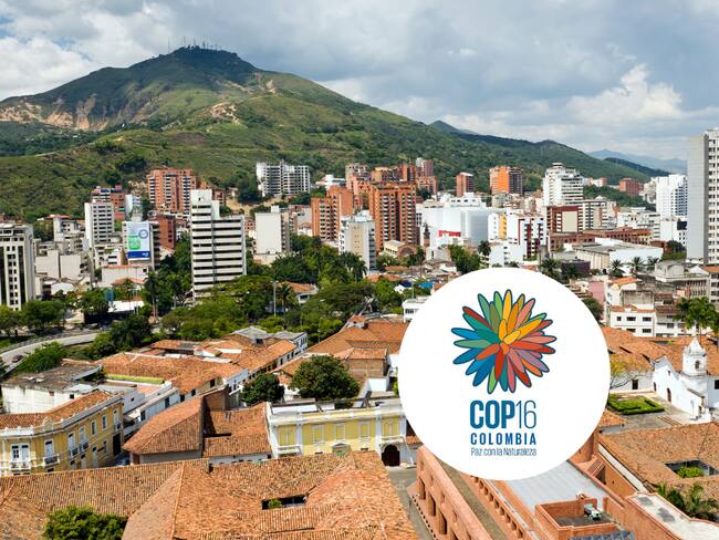 Panorámica de Cali y logo de COP16 (Getty Images)