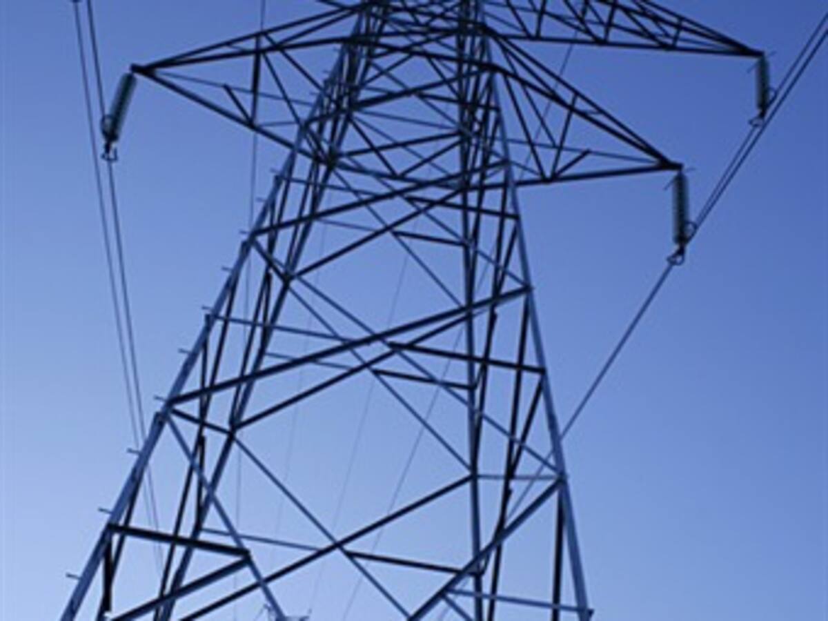 La demanda de energía eléctrica creció un 2,9% en 2010