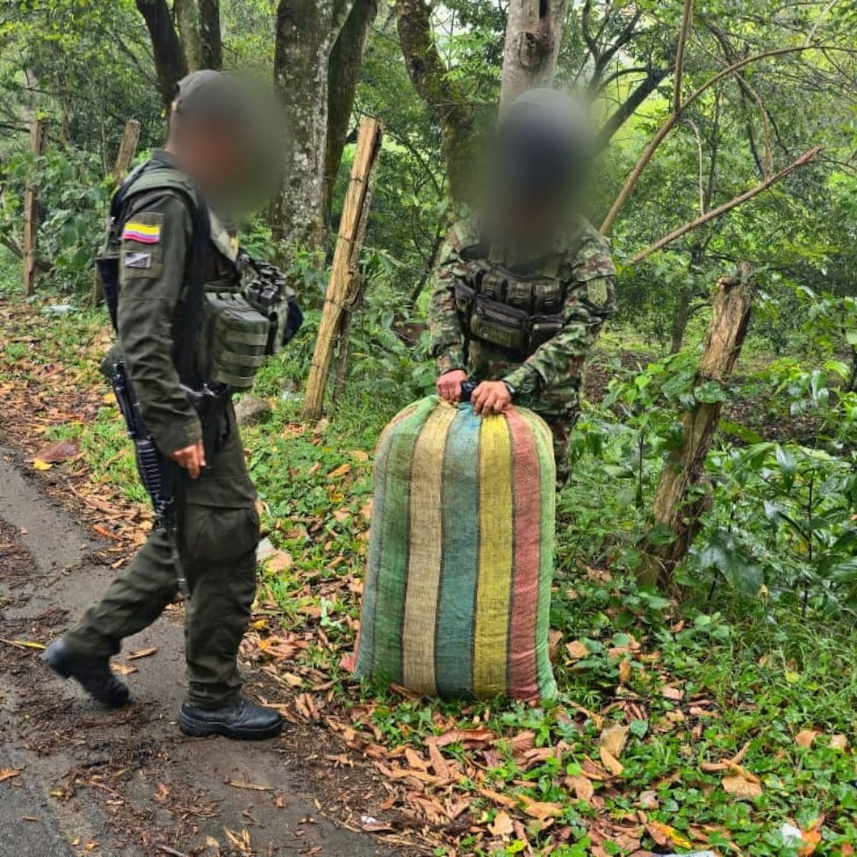 En el occidente del Huila incautan cargamento de marihuana en La Plata