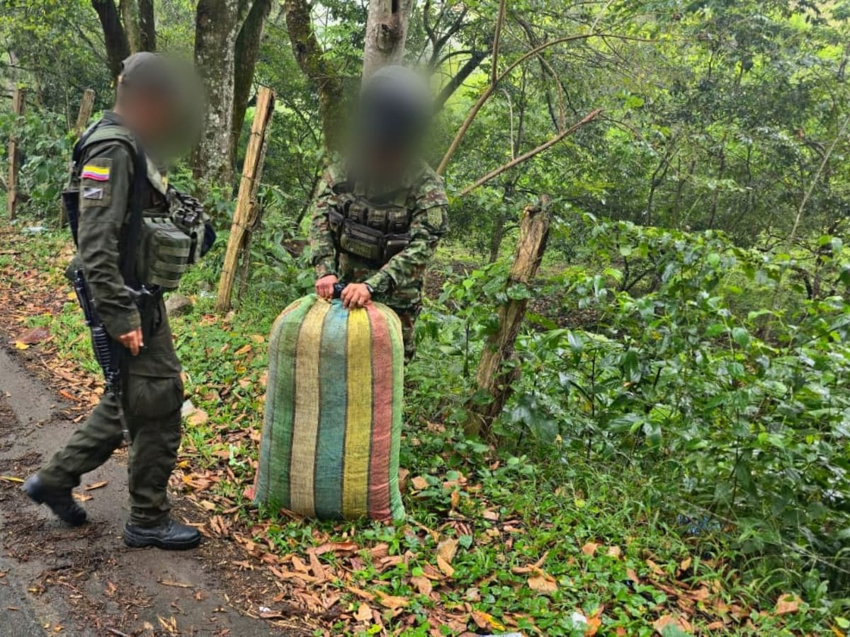 En el occidente del Huila incautan cargamento de marihuana en La Plata