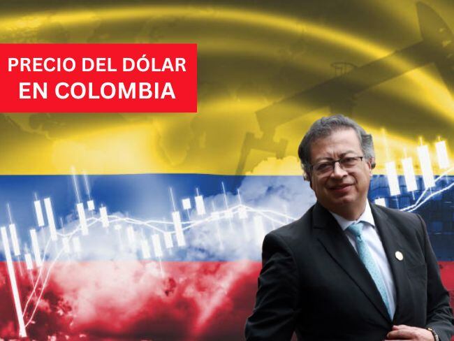 Precio del dólar en Colombia para este 23 de enero Foto: Getty Images