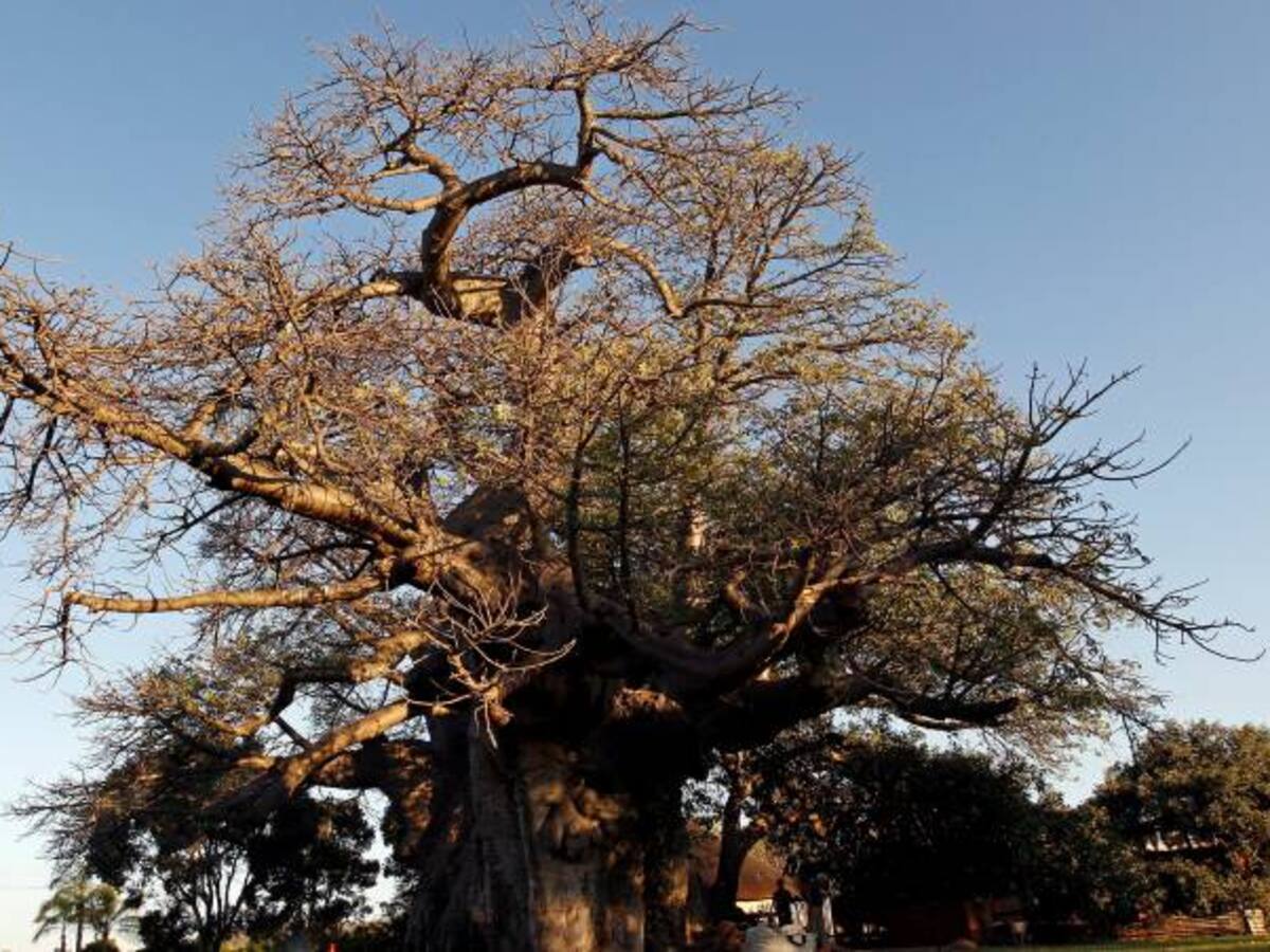 Centroamérica es la región más afectada por cambio climático: Expertos
