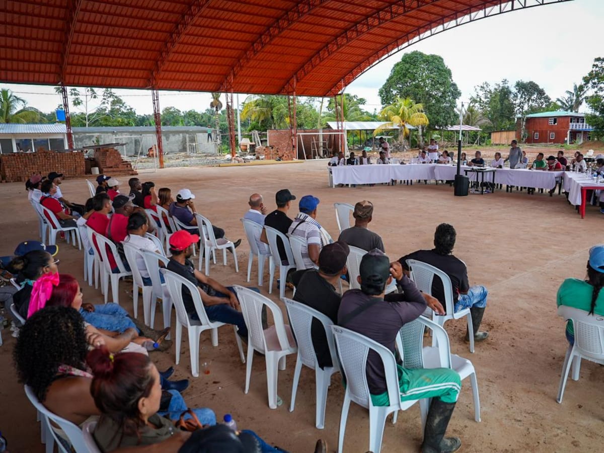 Se concreta plan de sustitución de cultivos ilícitos en Nariño en medio del proceso de paz