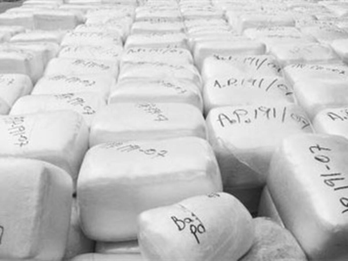 Autoridades incautan media tonelada de cocaína en el Valle