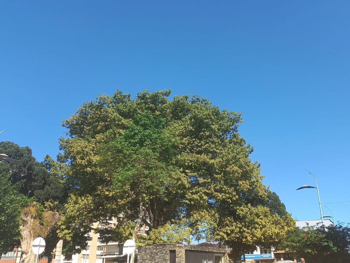 Lunes 2 de octubre, las noticias más importantes de Armenia y Quindío