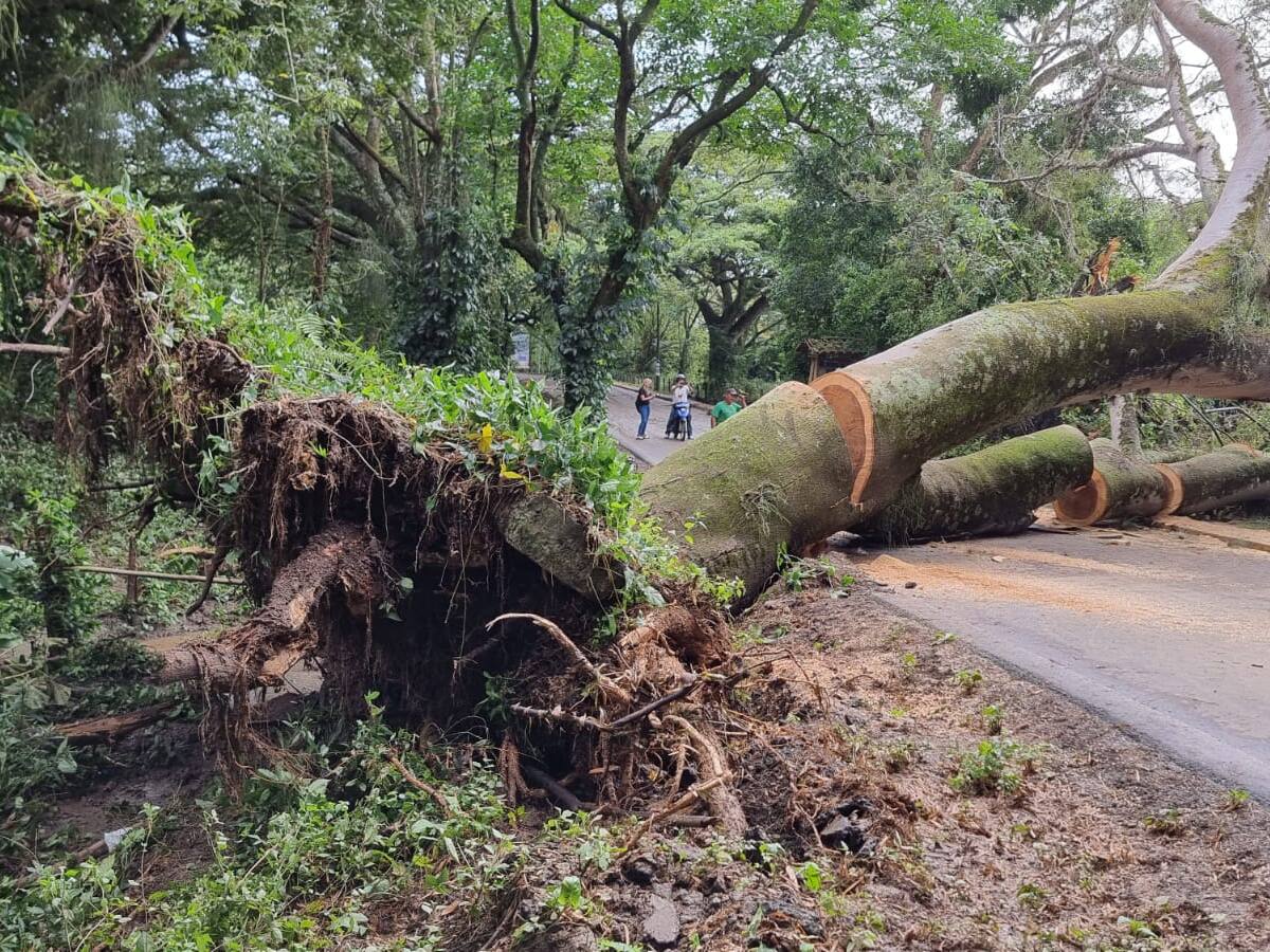 Emergencia por ola invernal en el norte del Valle