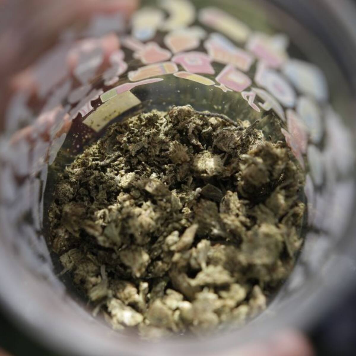 Congreso hunde nuevamente el proyecto que regulaba el cannabis recreativo