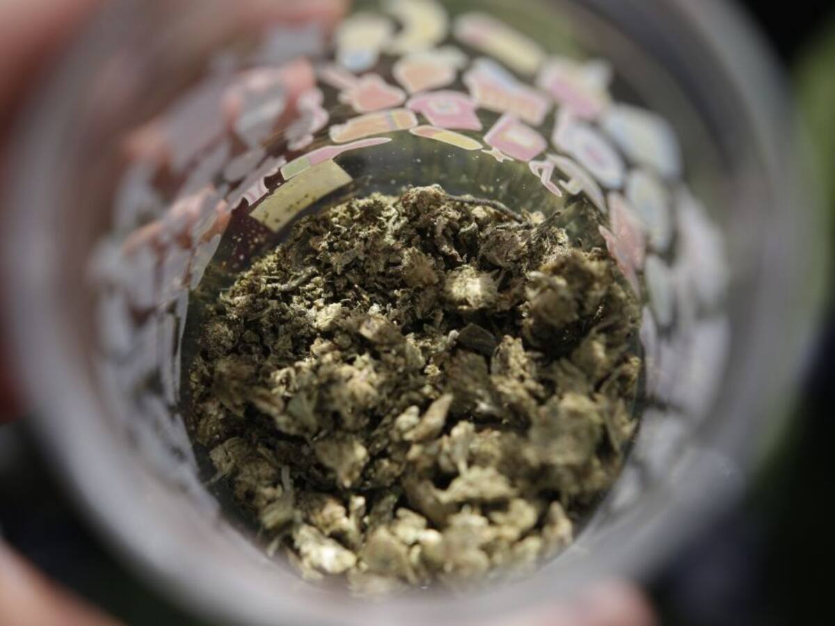 Congreso hunde nuevamente el proyecto que regulaba el cannabis recreativo