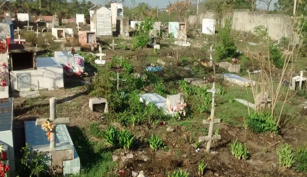 Imagen de referencia