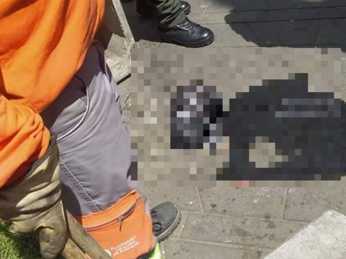 Abandonan a bebé muerto en un parque de Medellín