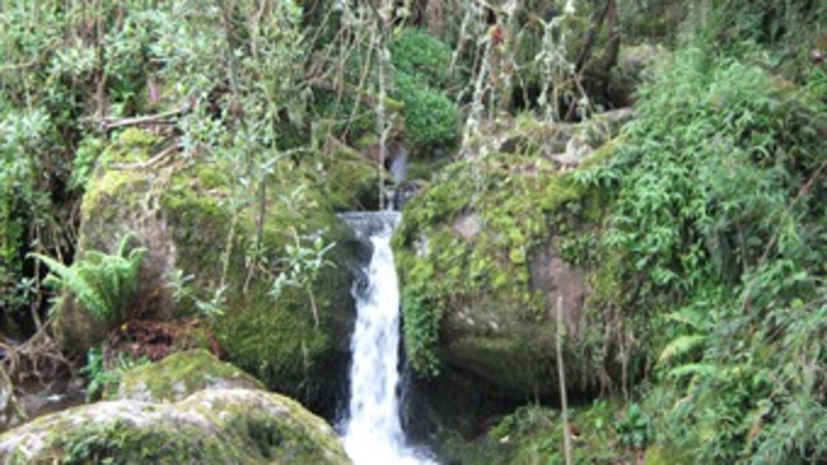 Minería: ¡hasta en las reservas naturales!