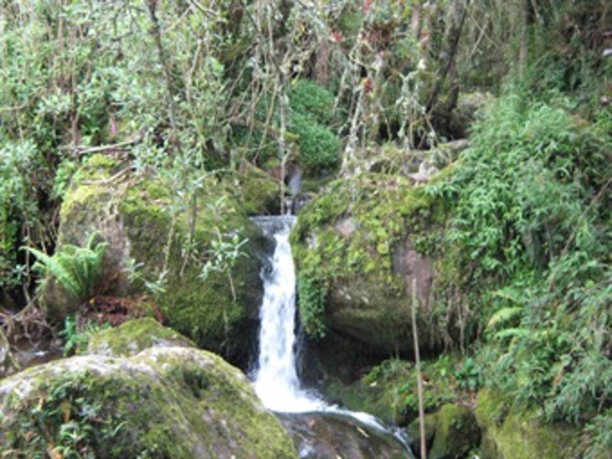 Minería: ¡hasta en las reservas naturales!