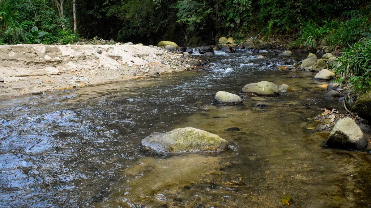 Así avanza la descontaminación del río Chipalo en Ibagué