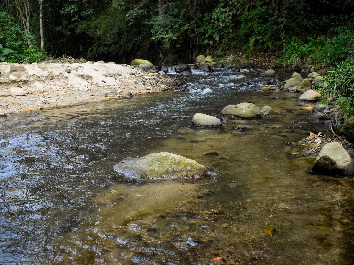 Así avanza la descontaminación del río Chipalo en Ibagué