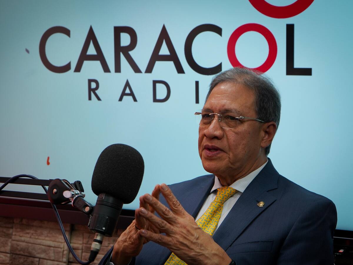 “Se han radicado más de 600 tutelas contra el presidente Petro”: presidente del Consejo de Estado