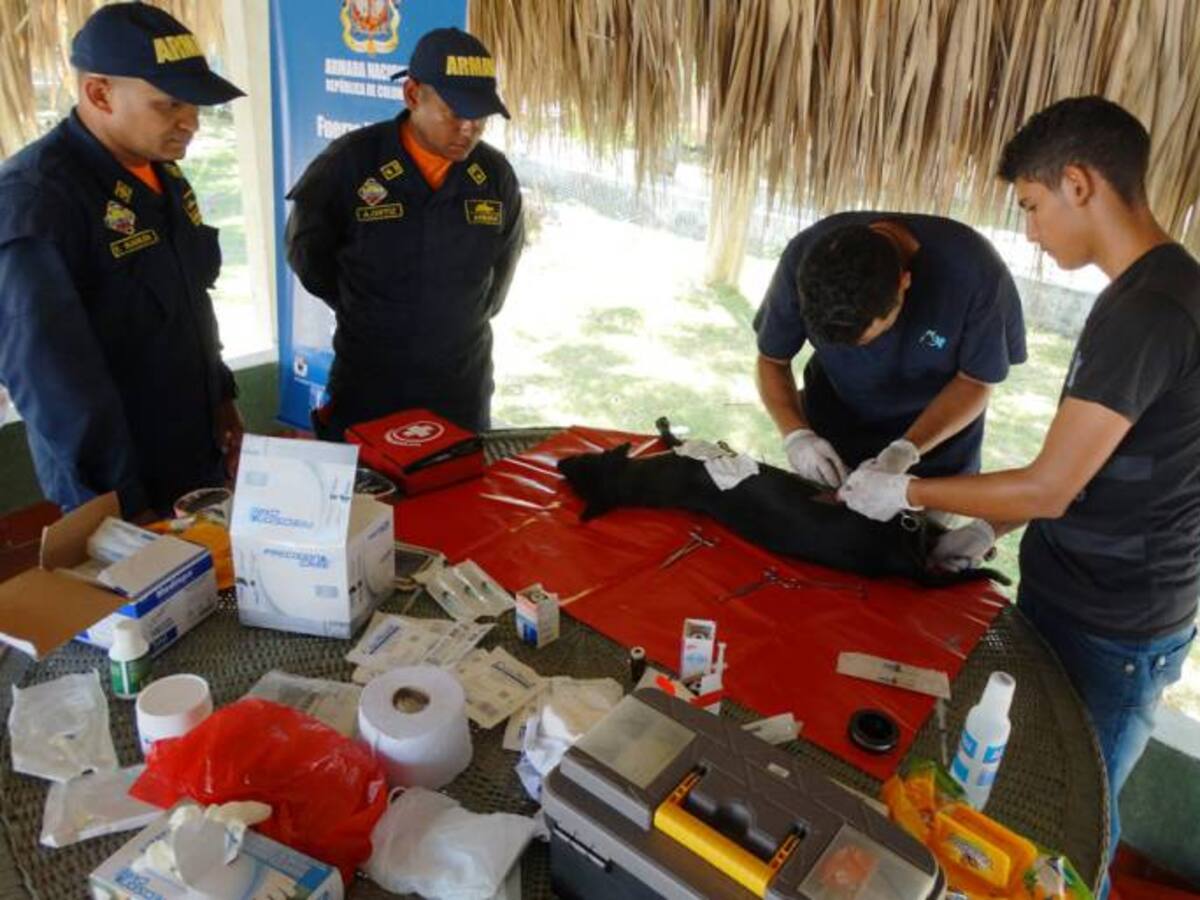 Armada Nacional lidera jornada de esterilización canina y felina en Tierra