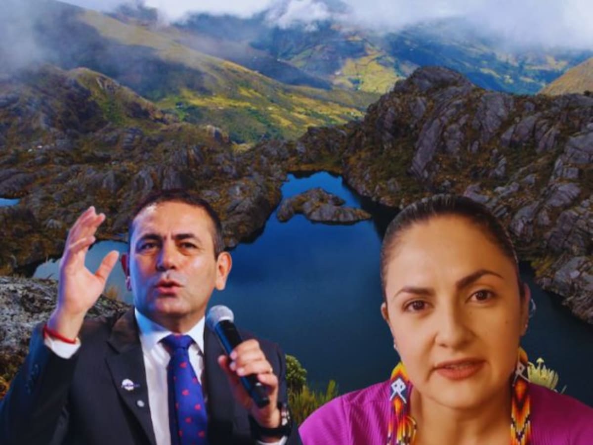 “Un descaro”: ambientalistas a gobernador de Santander por pedir suspensión de zonas de reserva