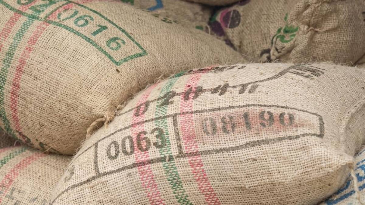 Fin de aranceles con Ecuador genera expectativa en el Cauca