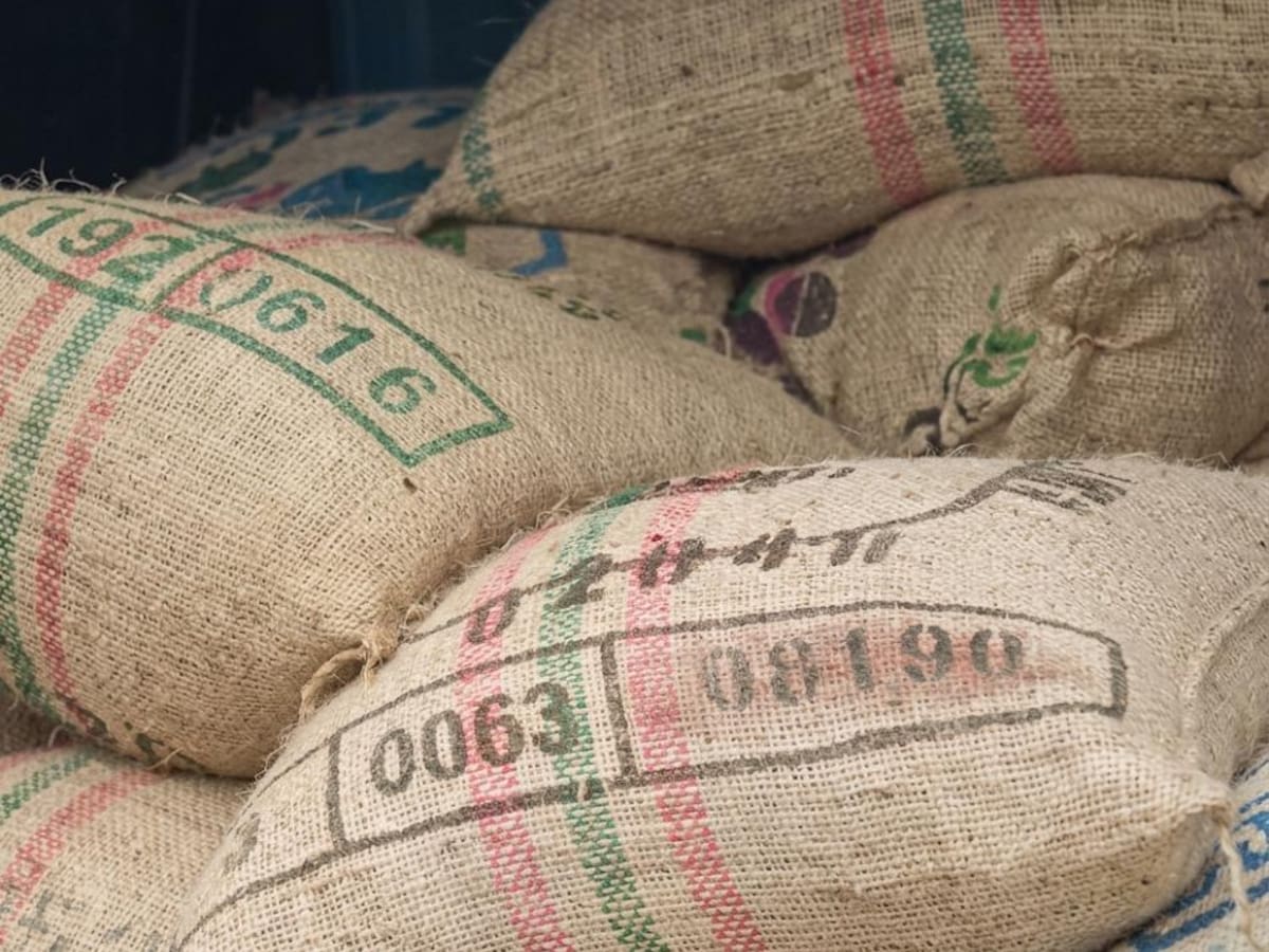 Fin de aranceles con Ecuador genera expectativa en el Cauca
