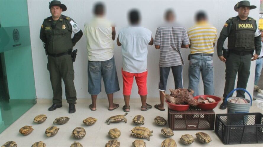 Capturas    . Foto: Antonio Canchila