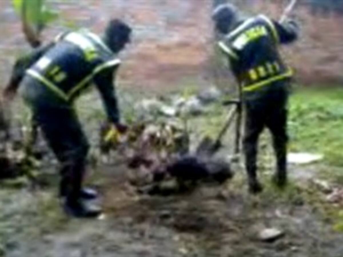 Destituido policía que torturó y mató a una perra en Puerto Tejada