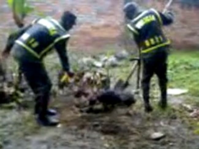 Destituido policía que torturó y mató a una perra en Puerto Tejada