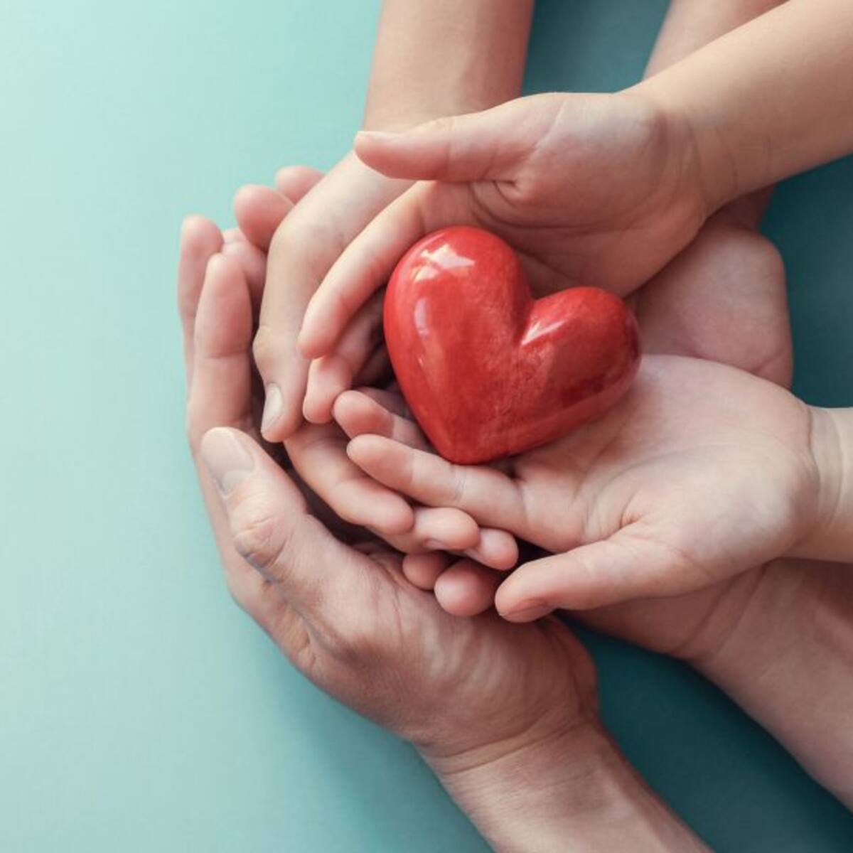 Día Mundial de la Salud 2022: ¿Por qué la OMS hace un llamado al planeta?