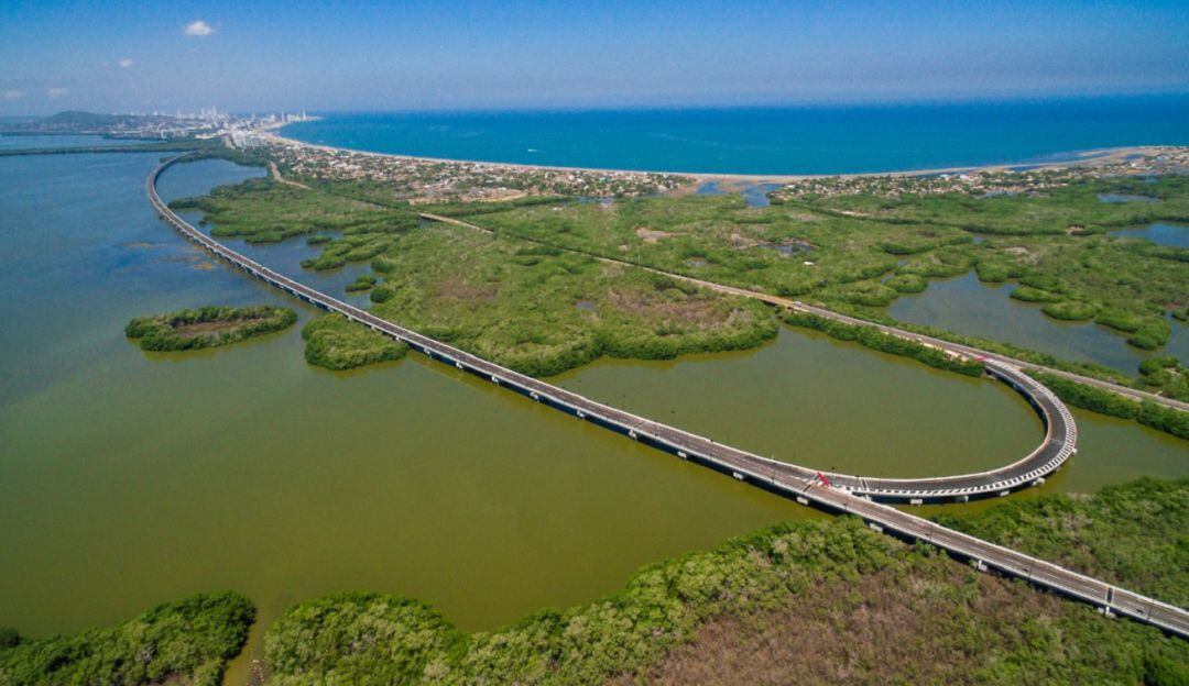 Viaducto El Gran Manglar en Cartagena